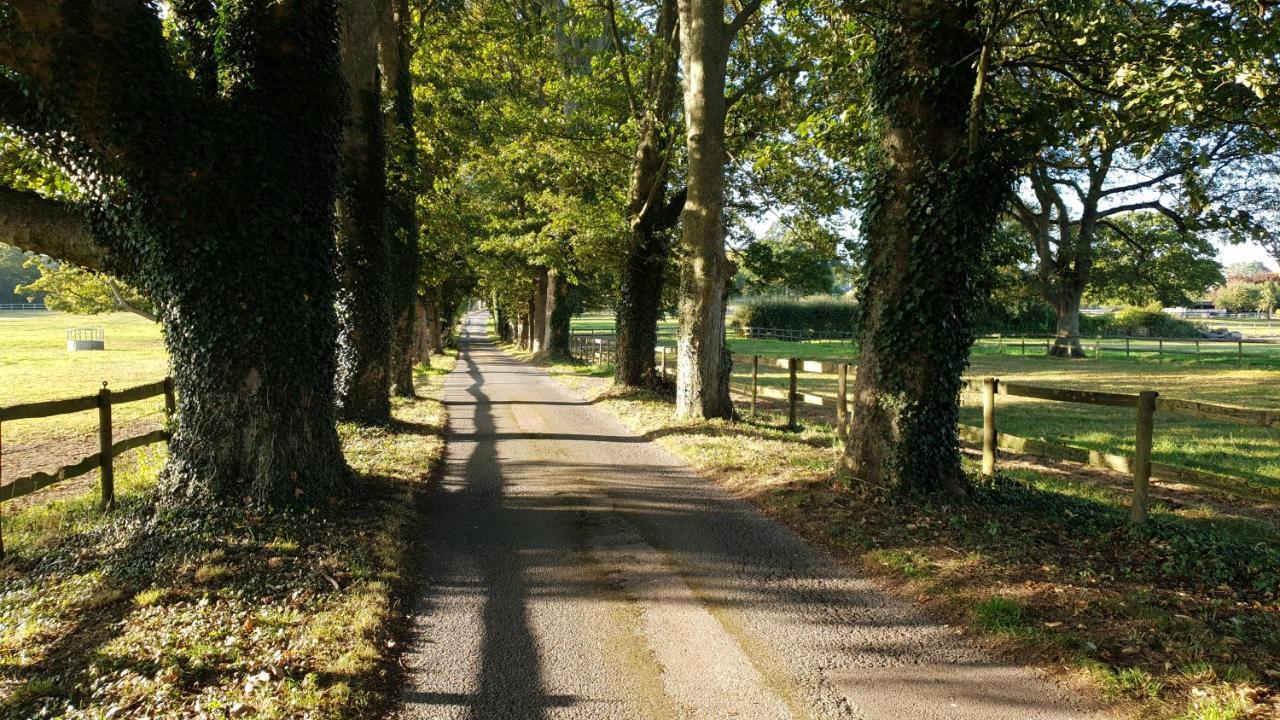 Farnham House Hotel Dış mekan fotoğraf